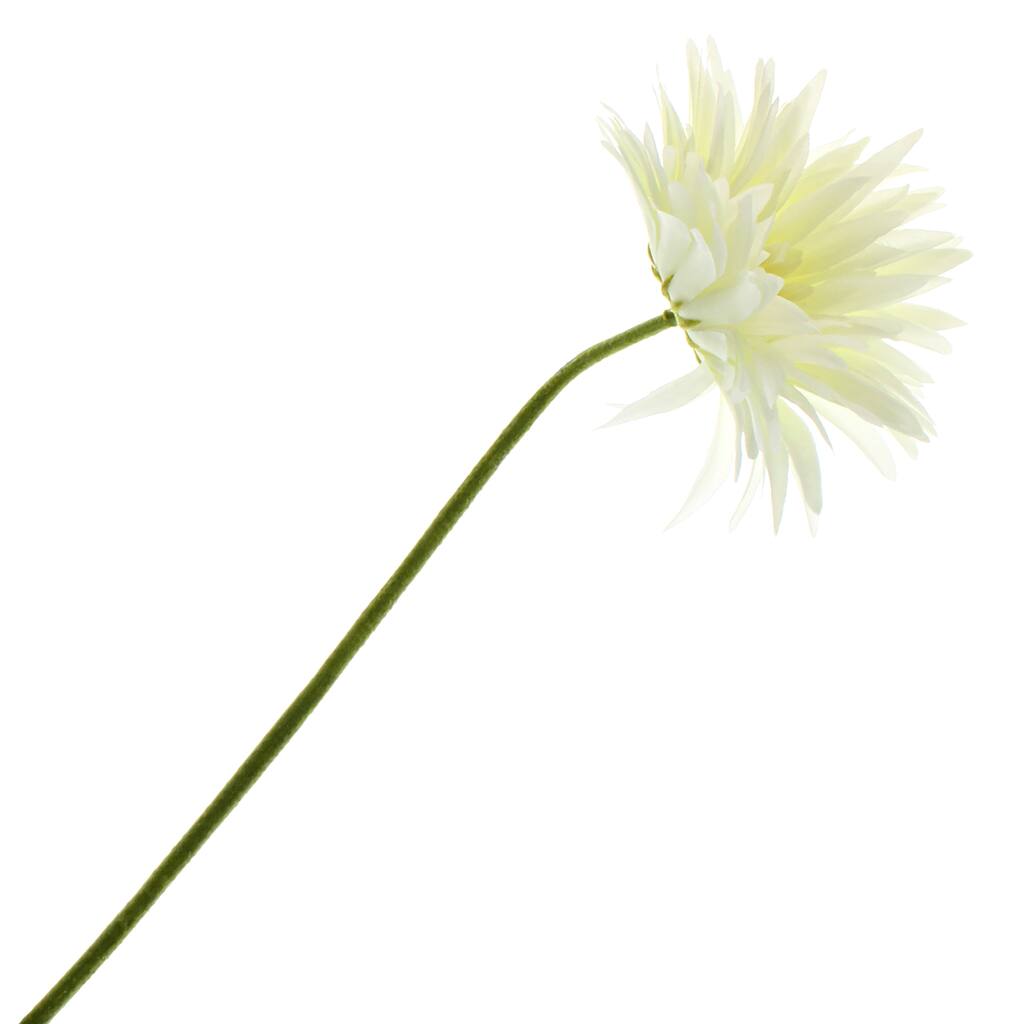 10213502.jpg img